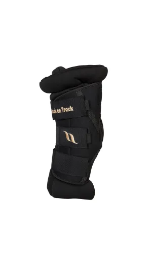 Royal Padded Hock Boots Deluxe